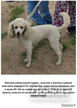 Гарантируем вознаграждение!!!