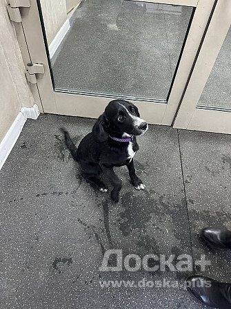 Потеряшка